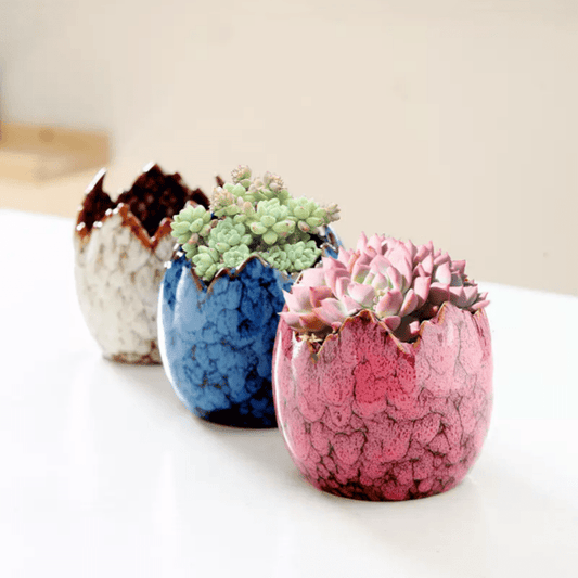 3pcs, Creative Kiln-Fired Ceramic Flower Pots for Succulents and Small Plants, Suitable for Home & Garden Decor, Office Display