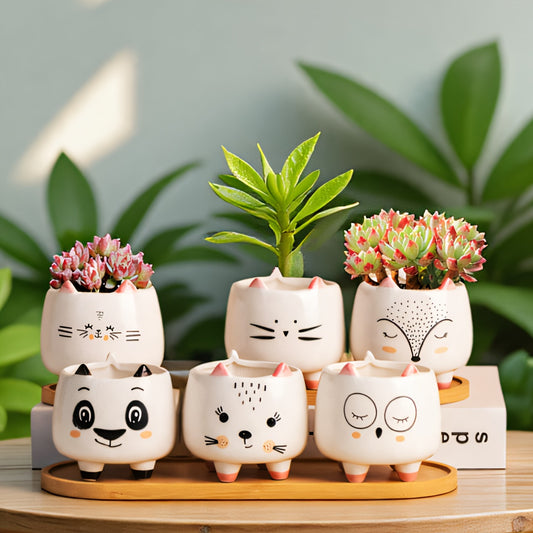 6pcs Cute Cat Ceramic Succulent Planters - Modern Indoor/Outdoor Flower Pots with Drainage, Playful Animal Designs for Home & Garden Decor, Ceramic Pots for Plants, Indoor Outdoor Decor | Playful Animal Design | Durable Ceramic