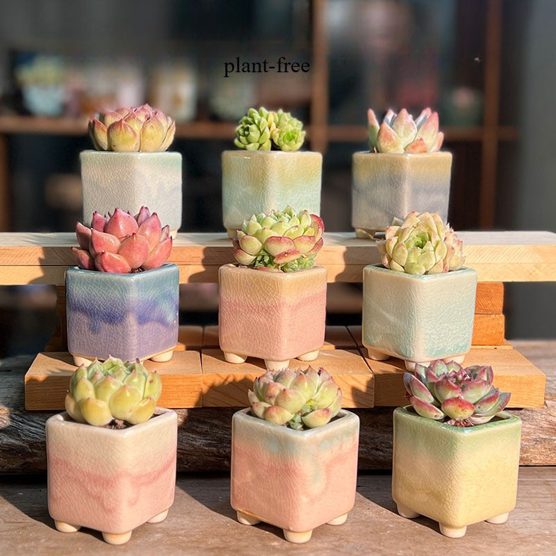 2pcs Mini Succulent Planter Set in Different Styles - Cactus And Air Plant Whimsical Breathable Ceramic Planter Natural Clay Seedling Planter for Desk, Shelf Decoration, Gardening Gifts (Multi-Shape Design)