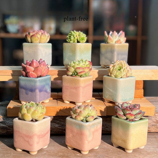 2pcs Mini Succulent Planter Set in Different Styles - Cactus And Air Plant Whimsical Breathable Ceramic Planter Natural Clay Seedling Planter for Desk, Shelf Decoration, Gardening Gifts (Multi-Shape Design)