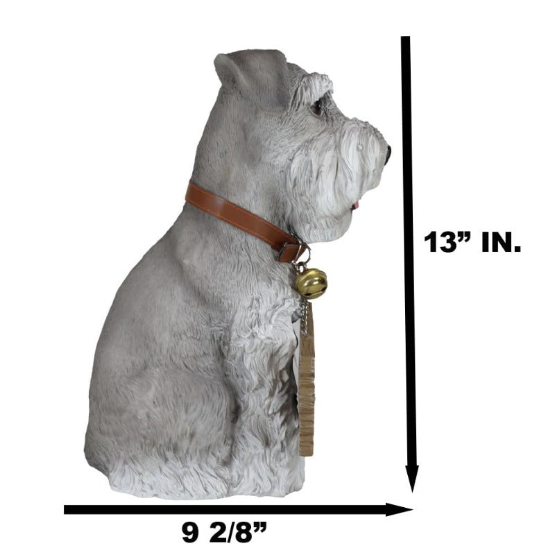 Realistic Adorable 'Grandpa' Grey Schnauzer Dog Sitting with Jingle Collar Planks Sign Statue 13 Tall 'Schnauz It Going' 'Schnauzer Lovers Welcome'