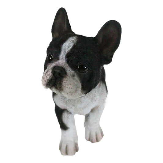 Realistic Black French Bulldog Figurine – 6" Long Hand-Painted Resin Frenchie Puppy Dog Statue with Lifelike Details and Glossy Finish, Adorable Pet Decor for Desktop, Bookshelf, Living Room,or Office Display, Great Gift for Dog Lovers, Birthday, Christm
