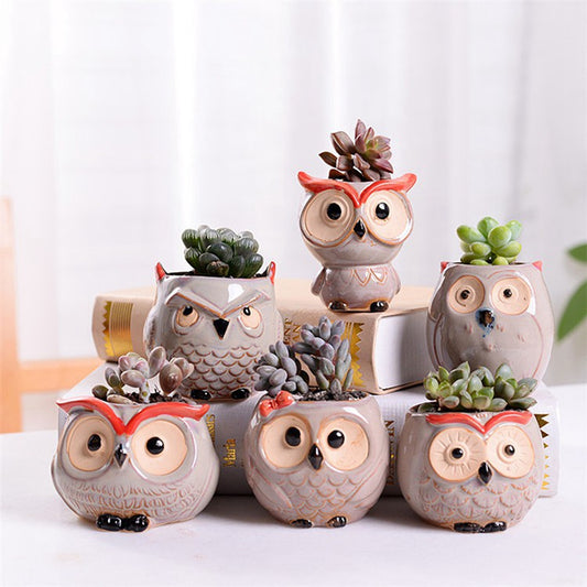 6pcs Home Garden Supplies Decoration Ceramic Flowerpots Miniature Model Cute Owl Succulent Flower Pot Planter Desktop Decorations