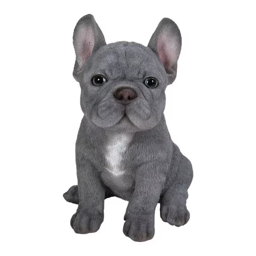 Blue French Bulldog Puppy Sitting Garden Statue Great Gift for Dog Lovers A thoughtful gift idea for Valentines Day, birthdays, Mothers Day, weddings, Christmas, and other special occasions.