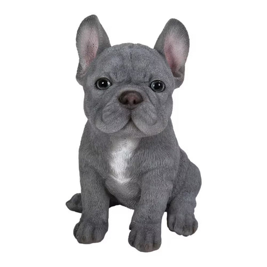 Blue French Bulldog Puppy Sitting Garden Statue Great Gift for Dog Lovers A thoughtful gift idea for Valentines Day, birthdays, Mothers Day, weddings, Christmas, and other special occasions.