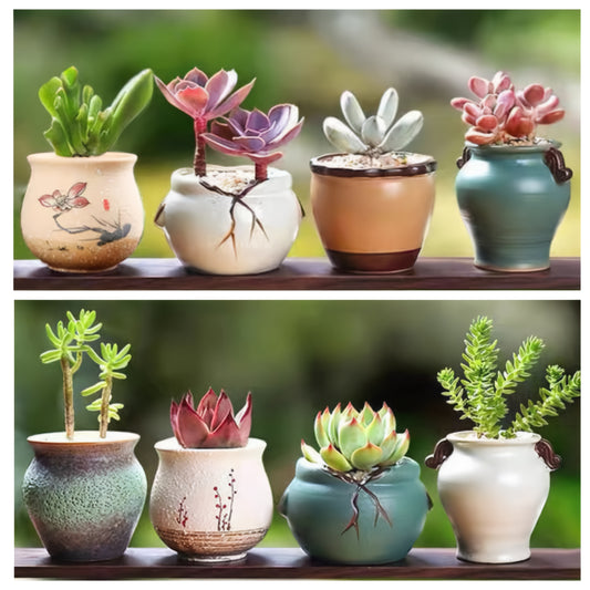 Set Of 3 Modern Ceramic Succulent Pots Unique Non-Repeating Designs Mini Planters for Home Office Decor Great Gift for Plant Lovers